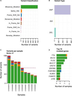 Whole Genome Sequencing Identifies Key Genes in Spinal Schwannoma